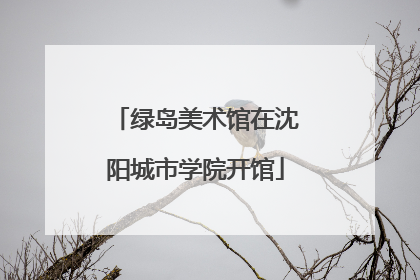 绿岛美术馆在沈阳城市学院开馆