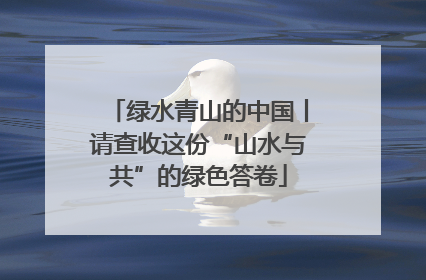 绿水青山的中国丨请查收这份“山水与共”的绿色答卷