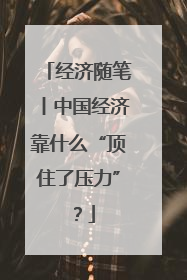 经济随笔丨中国经济靠什么“顶住了压力”？