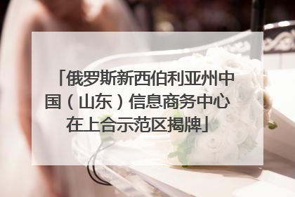 俄罗斯新西伯利亚州中国（山东）信息商务中心在上合示范区揭牌