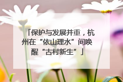 保护与发展并重，杭州在“依山理水”间唤醒“古村新生”