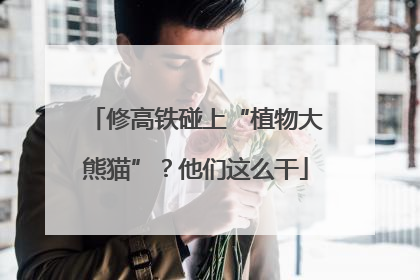 修高铁碰上“植物大熊猫”？他们这么干