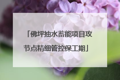 佛坪抽水蓄能项目攻节点精细管控保工期