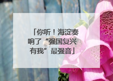 你听！海淀奏响了“强国复兴有我”最强音