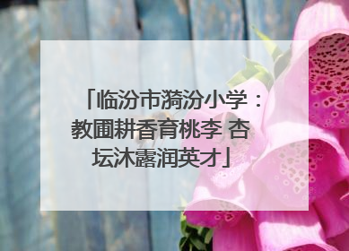 临汾市漪汾小学：教圃耕香育桃李 杏坛沐露润英才
