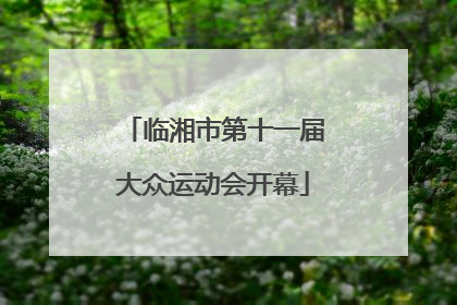 临湘市第十一届大众运动会开幕