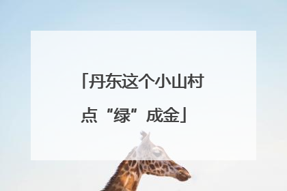 丹东这个小山村点“绿”成金
