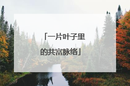 一片叶子里的共富脉络