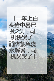 一车上百头猪中暑已死2头，司机快哭了 消防紧急浇水解暑，司机又哭了