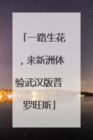 一路生花，来新洲体验武汉版普罗旺斯