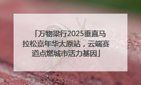 万物梁行2025垂直马拉松嘉年华太原站，云端赛道点燃城市活力基因