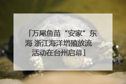 万尾鱼苗“安家”东海 浙江海洋增殖放流活动在台州启幕