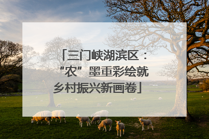 三门峡湖滨区：“农”墨重彩绘就乡村振兴新画卷