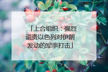 上合组织：强烈谴责以色列对伊朗发动的军事打击