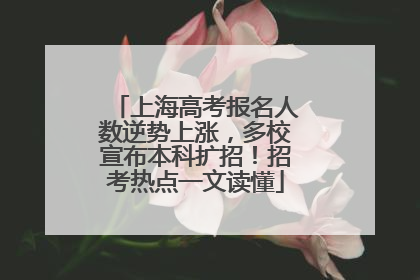上海高考报名人数逆势上涨，多校宣布本科扩招！招考热点一文读懂