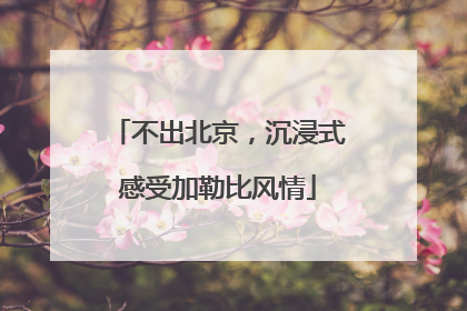 不出北京，沉浸式感受加勒比风情