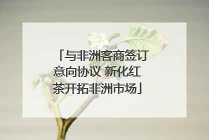 与非洲客商签订意向协议 新化红茶开拓非洲市场