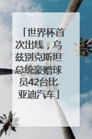 世界杯首次出线，乌兹别克斯坦总统豪赠球员42台比亚迪汽车