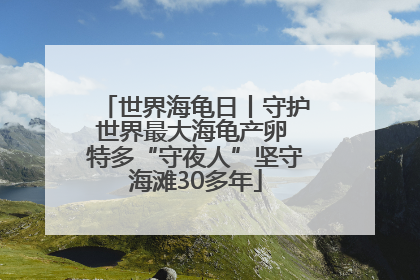 世界海龟日丨守护世界最大海龟产卵 特多“守夜人”坚守海滩30多年