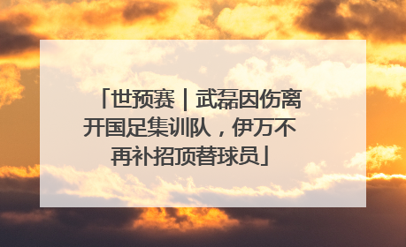 世预赛｜武磊因伤离开国足集训队，伊万不再补招顶替球员