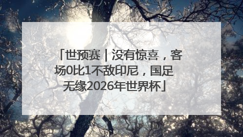 世预赛｜没有惊喜，客场0比1不敌印尼，国足无缘2026年世界杯