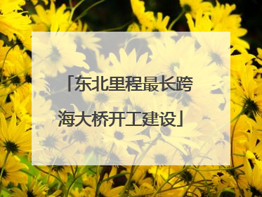 东北里程最长跨海大桥开工建设