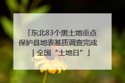 东北83个黑土地重点保护县地表基质调查完成｜全国“土地日”