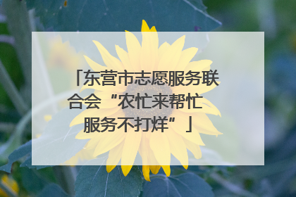 东营市志愿服务联合会“农忙来帮忙 服务不打烊”