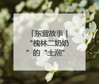 东营故事｜“槐林二奶奶”的“土潮”出圈密码