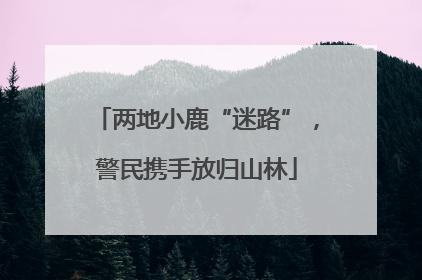 两地小鹿“迷路”，警民携手放归山林