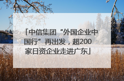 中信集团“外国企业中国行”再出发，超200家日资企业走进广东