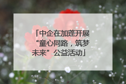中企在加蓬开展“童心同路，筑梦未来”公益活动