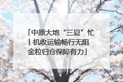 中原大地“三夏”忙丨机收运输畅行无阻 金粒归仓保障有力