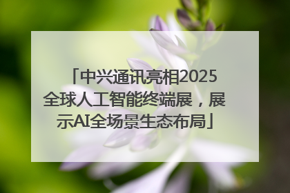 中兴通讯亮相2025全球人工智能终端展，展示AI全场景生态布局