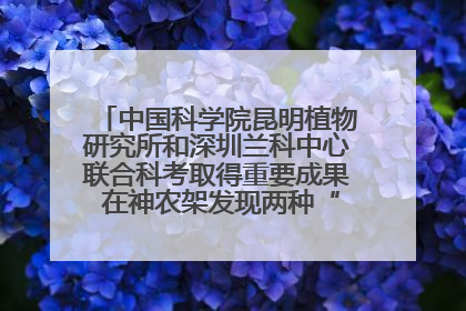 中国科学院昆明植物研究所和深圳兰科中心联合科考取得重要成果 在神农架发现两种“国保”级兰花