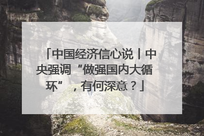 中国经济信心说丨中央强调“做强国内大循环”，有何深意？