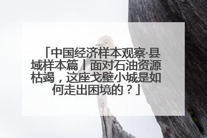 中国经济样本观察·县域样本篇丨面对石油资源枯竭，这座戈壁小城是如何走出困境的？