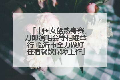 中国女篮热身赛、刀郎演唱会等相继举行 临沂市全力做好住宿餐饮保障工作