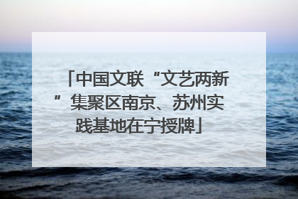 中国文联“文艺两新”集聚区南京、苏州实践基地在宁授牌