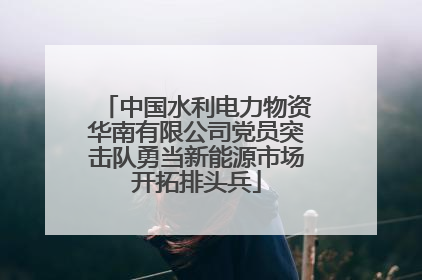 中国水利电力物资华南有限公司党员突击队勇当新能源市场开拓排头兵