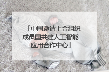 中国邀请上合组织成员国共建人工智能应用合作中心