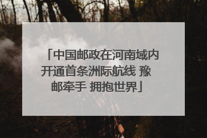 中国邮政在河南域内开通首条洲际航线 豫邮牵手 拥抱世界