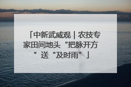 中新武威观｜农技专家田间地头“把脉开方”送“及时雨”