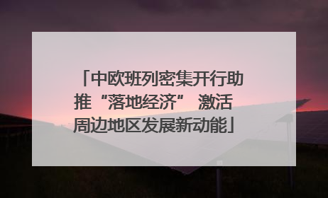 中欧班列密集开行助推“落地经济” 激活周边地区发展新动能