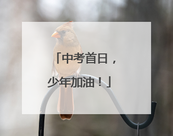 中考首日，少年加油！
