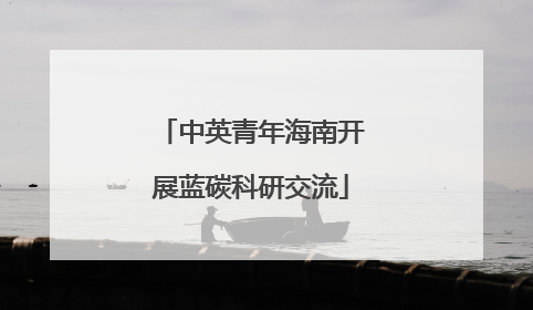 中英青年海南开展蓝碳科研交流
