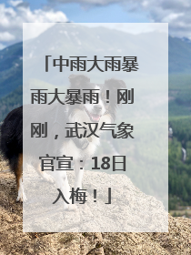 中雨大雨暴雨大暴雨！刚刚，武汉气象官宣：18日入梅！