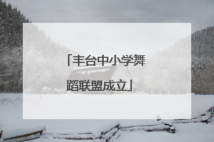 丰台中小学舞蹈联盟成立