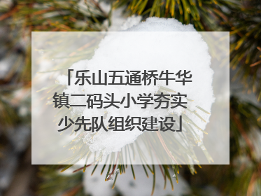 乐山五通桥牛华镇二码头小学夯实少先队组织建设