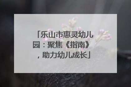 乐山市惠灵幼儿园：聚焦《指南》，助力幼儿成长